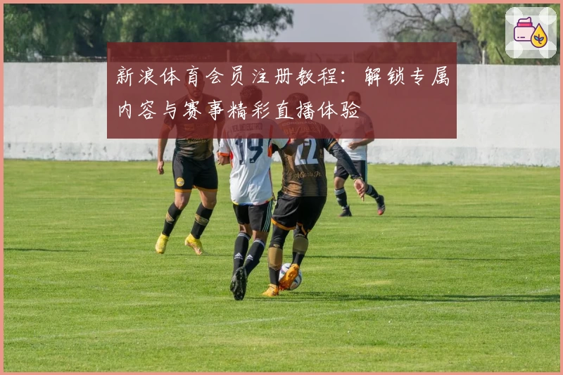 新浪体育会员注册教程：解锁专属内容与赛事精彩直播体验