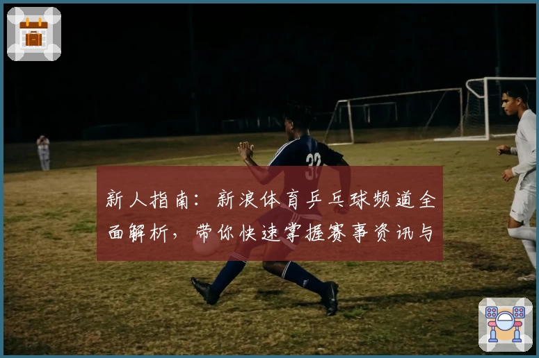 新人指南：新浪体育乒乓球频道全面解析，带你快速掌握赛事资讯与专业解读