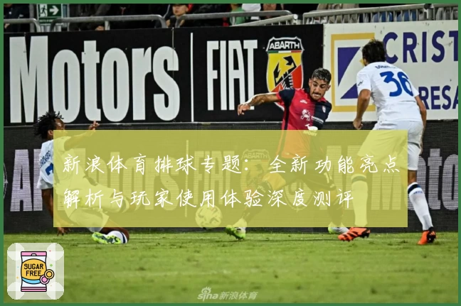 新浪体育排球专题：全新功能亮点解析与玩家使用体验深度测评