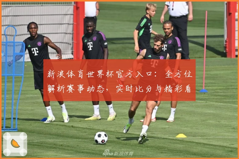 新浪体育世界杯官方入口：全方位解析赛事动态，实时比分与精彩看点抢先了解