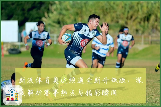 新浪体育奥运频道全新升级版，深度解析赛事热点与精彩瞬间
