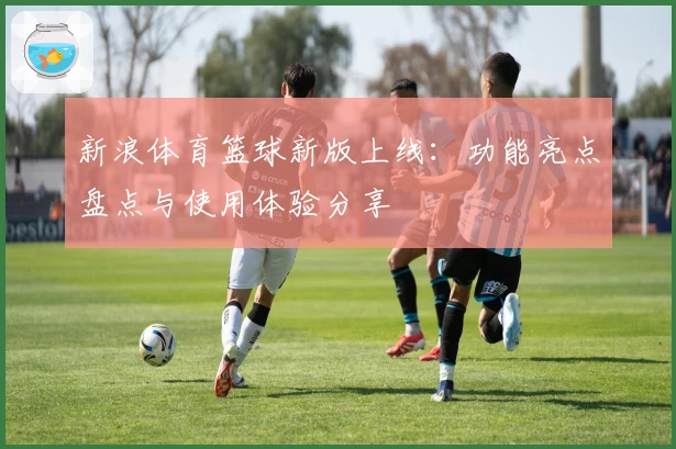 新浪体育篮球新版上线：功能亮点盘点与使用体验分享