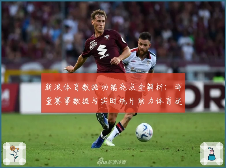 新浪体育数据功能亮点全解析：海量赛事数据与实时统计助力体育迷