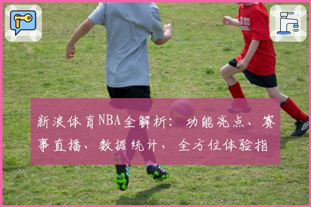 新浪体育NBA全解析：功能亮点、赛事直播、数据统计，全方位体验指南
