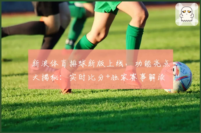 新浪体育排球新版上线，功能亮点大揭秘：实时比分+独家赛事解读