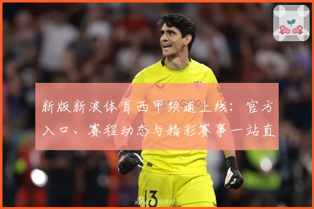 新版新浪体育西甲频道上线：官方入口、赛程动态与精彩赛事一站直达