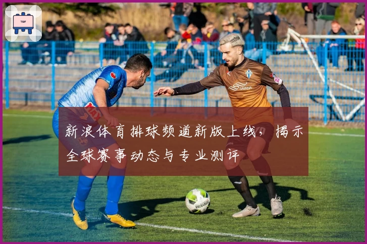 新浪体育排球频道新版上线，揭示全球赛事动态与专业测评