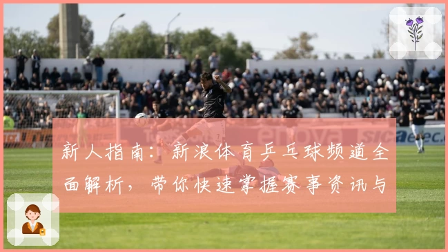 新人指南：新浪体育乒乓球频道全面解析，带你快速掌握赛事资讯与专业解读