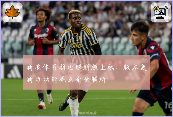 新浪体育羽毛球新版上线:版本更新与功能亮点全面解析