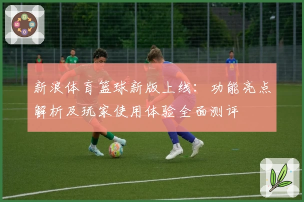 新浪体育篮球新版上线：功能亮点解析及玩家使用体验全面测评