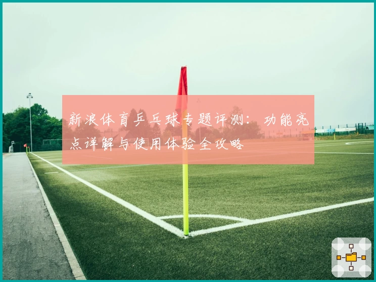 新浪体育乒乓球专题评测：功能亮点详解与使用体验全攻略
